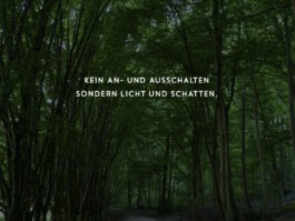 Bärtle wie der Bart